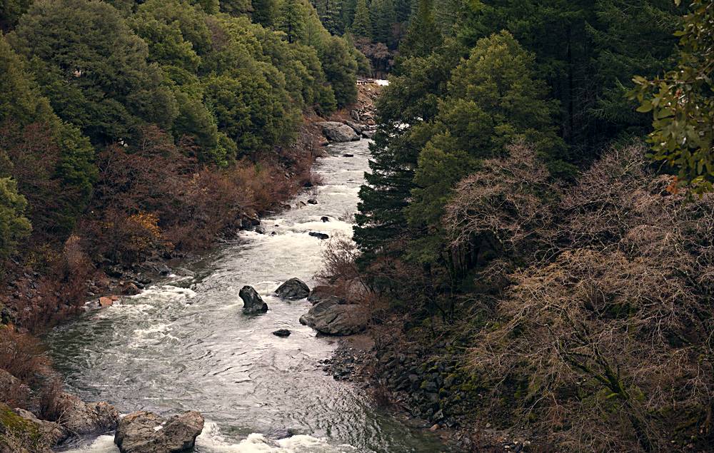 Whitewater running between steep forested canyon walls in the Tahoe National Forest.