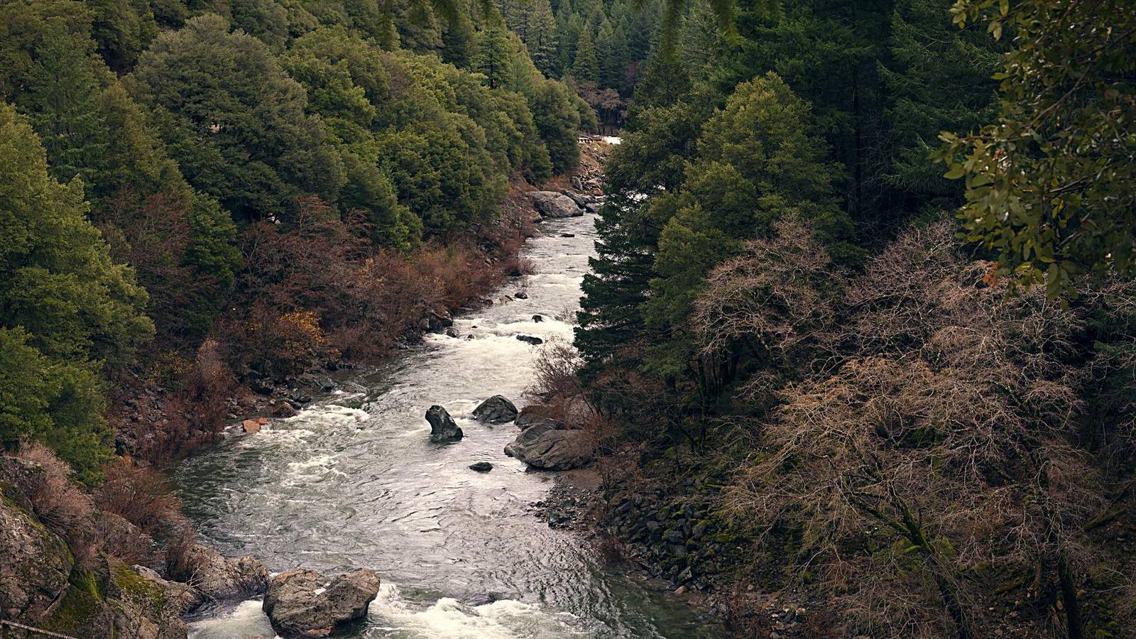 The North Yuba canyon in Tahoe National Forest, seen from above: whitewater running between steep forested walls.