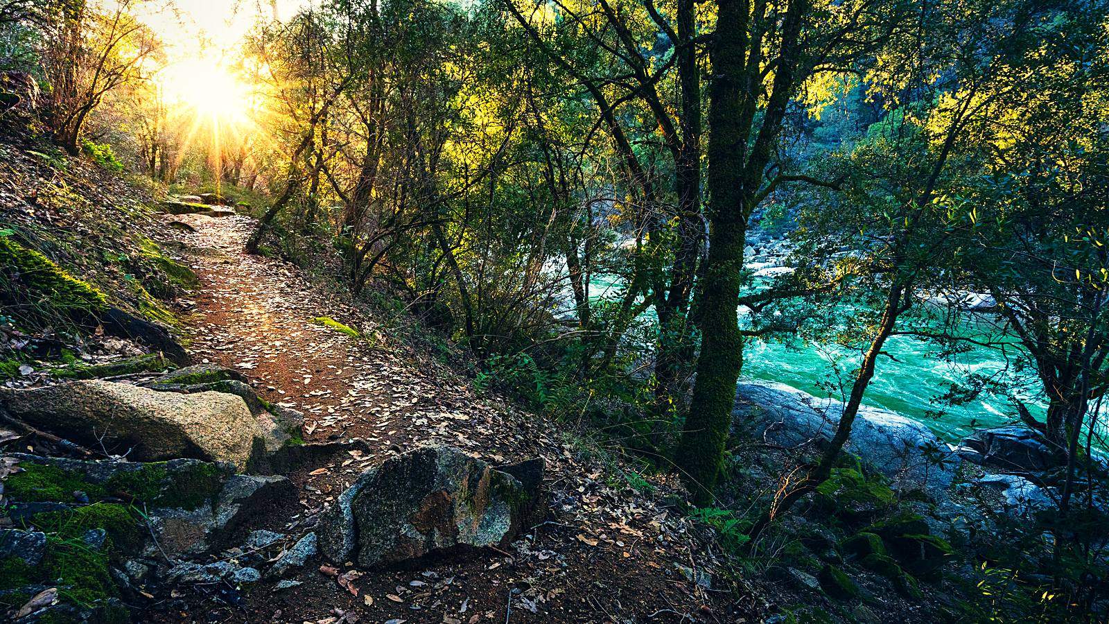 Singletrack trail running through oaks above the jade-green South Yuba River, low sun flaring through the trees.
